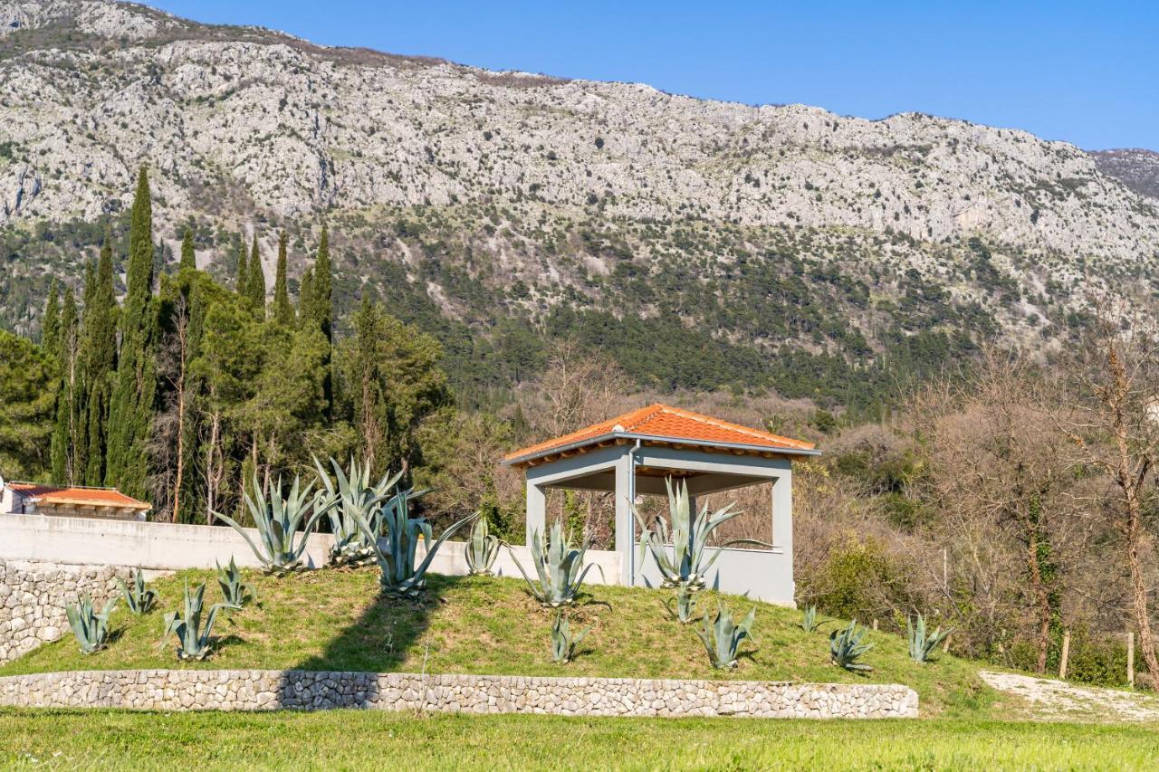 Villa Agave Gruda Exterior photo