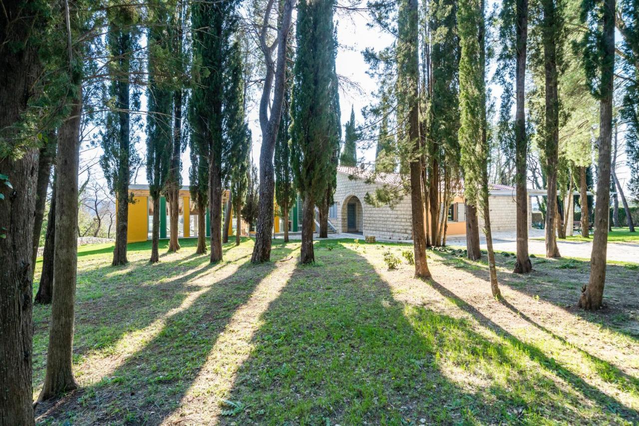 Villa Agave Gruda Exterior photo