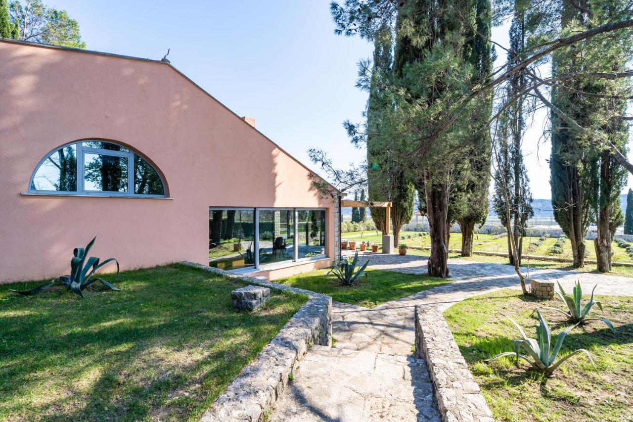 Villa Agave Gruda Exterior photo